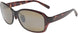 15T20 - Olive Tortoise - Hcl Bronze