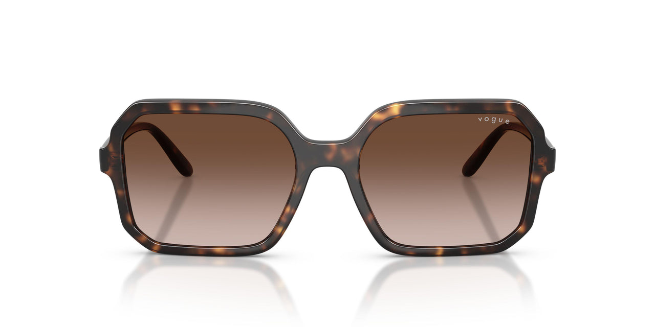 238613 - Brown - Gradient Brown