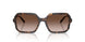 238613 - Brown - Gradient Brown