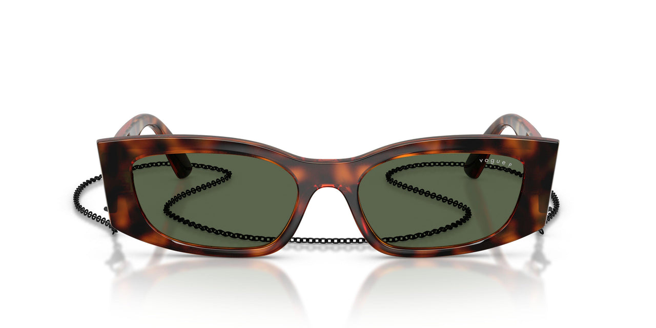 W6569A - Brown - Dark Green Polar