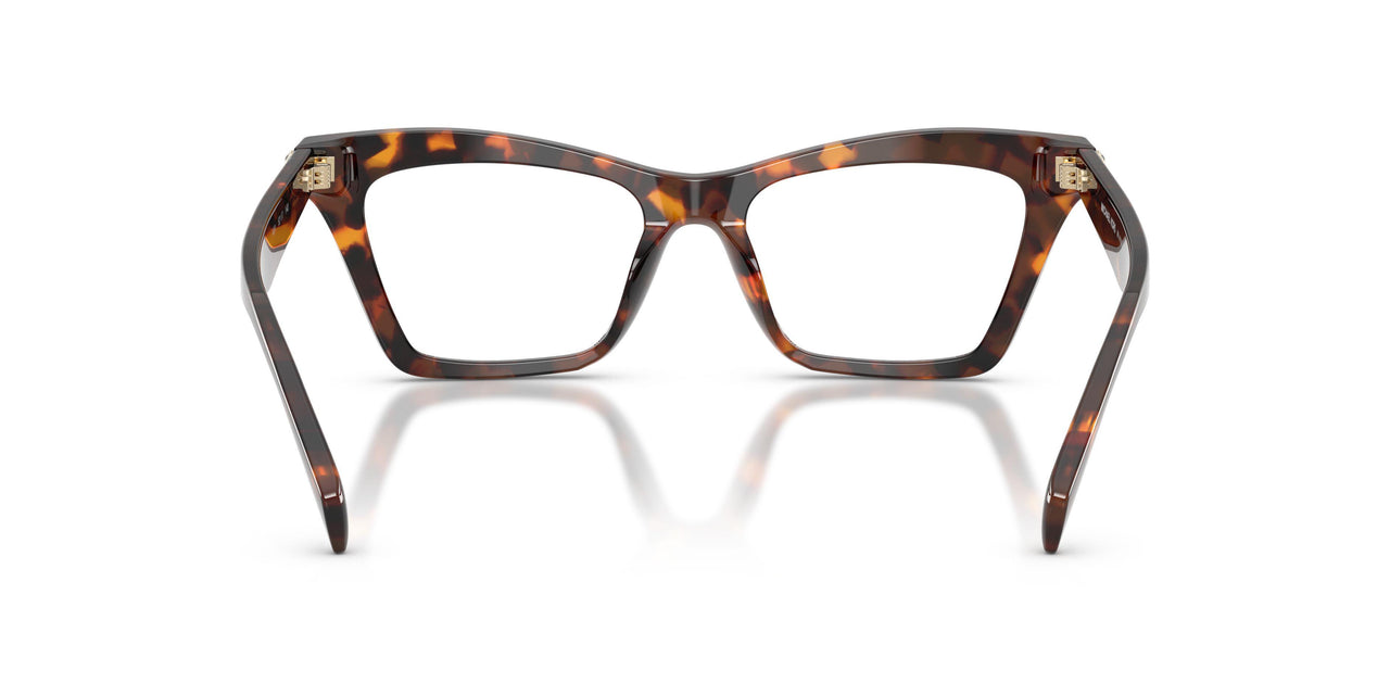 4031 - Tortoise