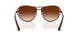 400274 - Brown - Brown Gradient