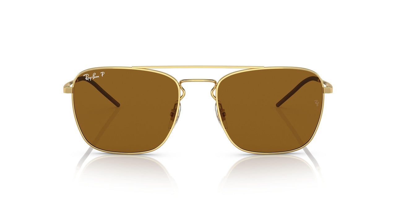 925083 - Gold - Dark Brown Polar