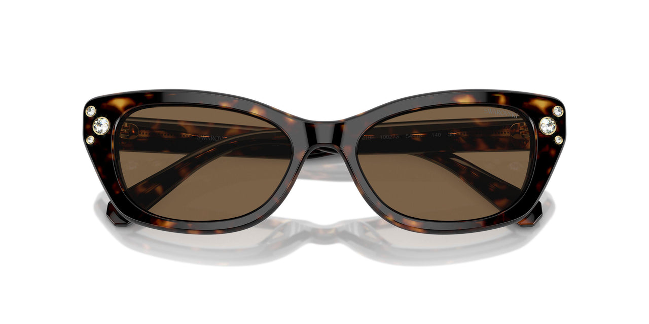 100273 - Tortoise - Dark Brown