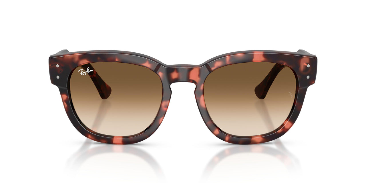 133451 - Tortoise - Clear Gradient Brown