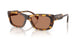 14L20D - Tortoise - Solid Brown
