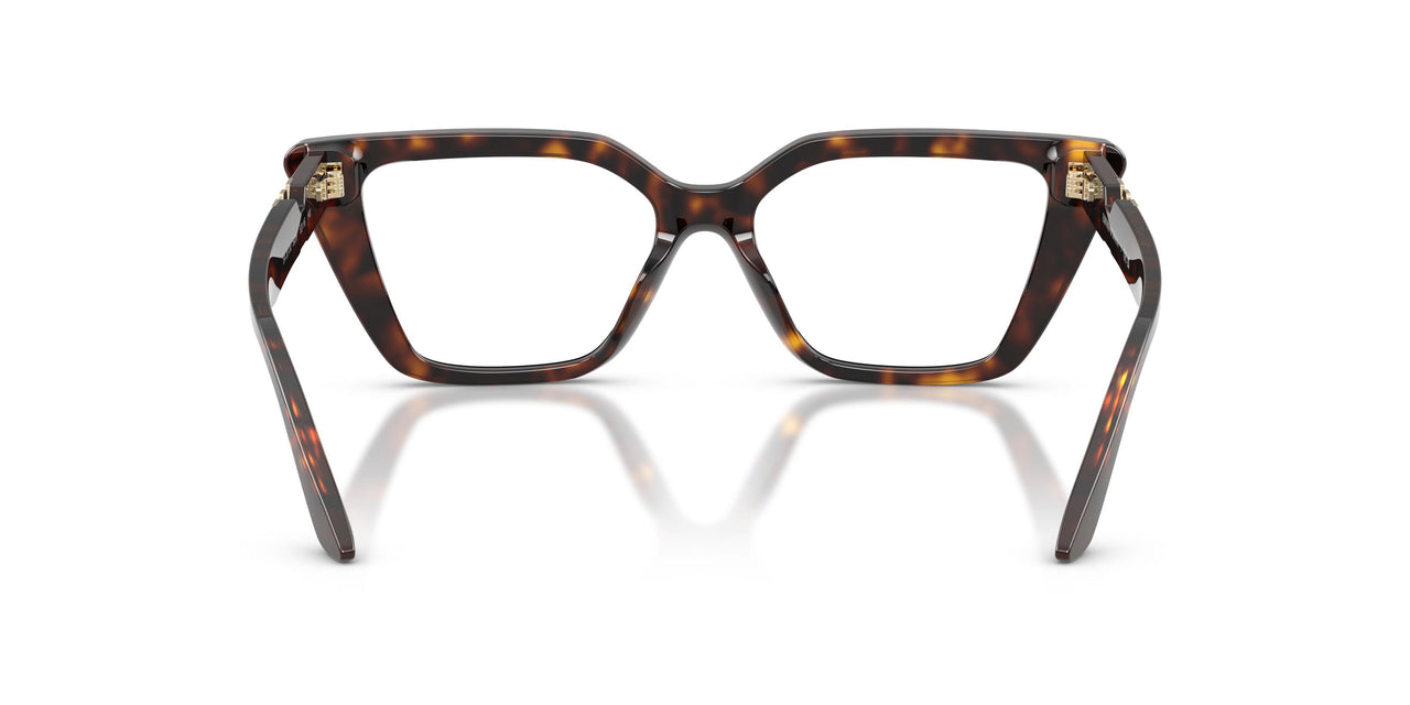 5026 - Tortoise