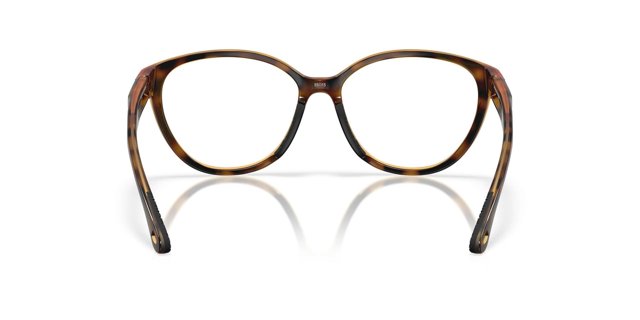 802503 - Tortoise