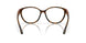 802503 - Tortoise