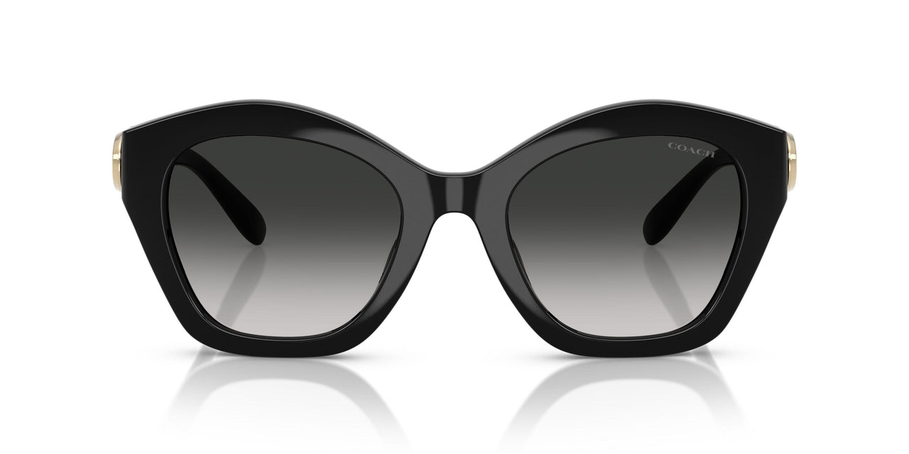 50023C - Black - Grey Gradient