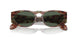 597771 - Brown - Dark Green