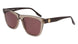 Converse CV557S ALL STAR Sunglasses