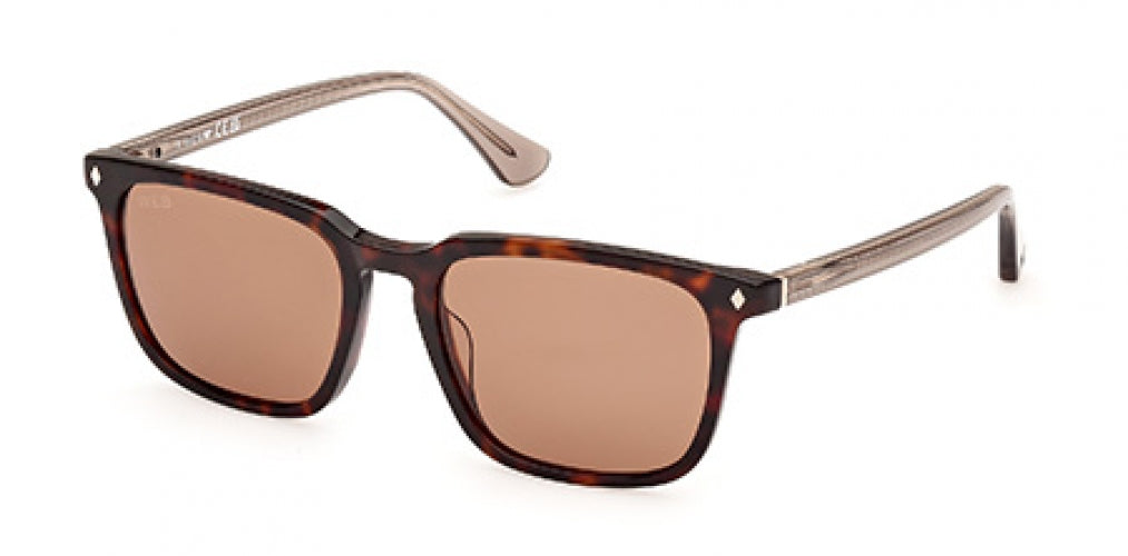 WEB 0369 Sunglasses
