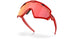 941825 - Red - Prizm Snow Torch