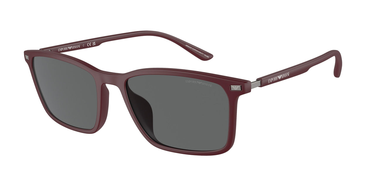 Emporio Armani 4223U Sunglasses