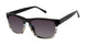 Ted Baker TMS125 Sunglasses