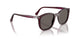 1216B1 - Bordeaux - Dark Grey