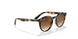 152/13 - Havana - Brown Gradient