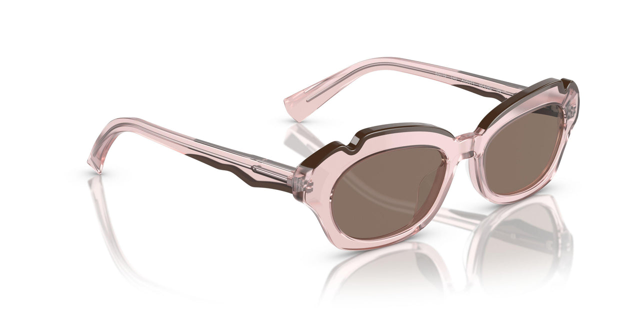 004/3G - Pink - Dark Brown