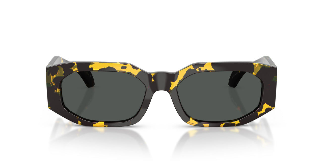 552887 - Tortoise - Dark Grey