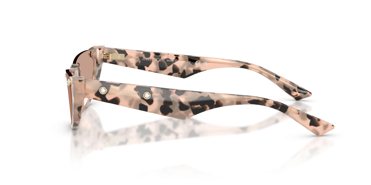 508073 - Tortoise - Brown