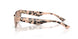 508073 - Tortoise - Brown
