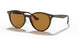 710/83 - Havana - Polar Brown