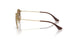 223/T5 - Gold - Brown