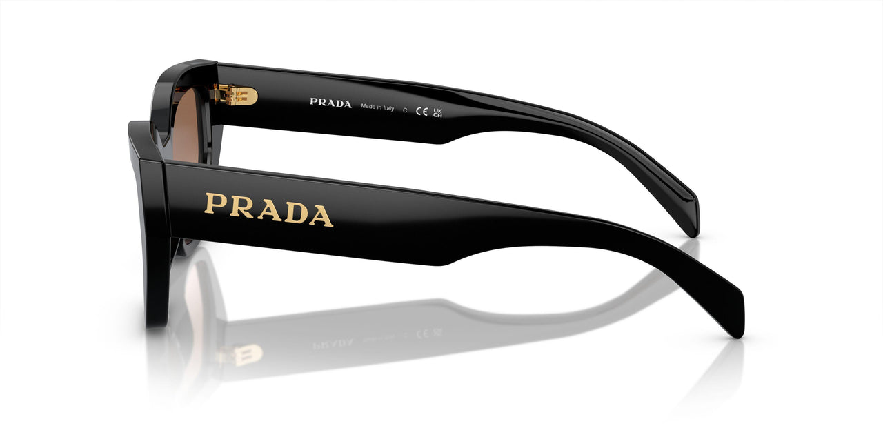 1AB0A6 - Black - Brown Gradient