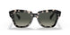 133371 - Havana - Grey Gradient