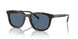 17N06A - Tortoise - Dark Blue
