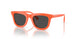 393887 - Orange - Dark Grey