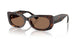 500273 - Tortoise - Dark Brown
