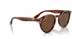 954/AN - Brown - Brown