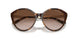 821313 - Tortoise - Gradient Brown