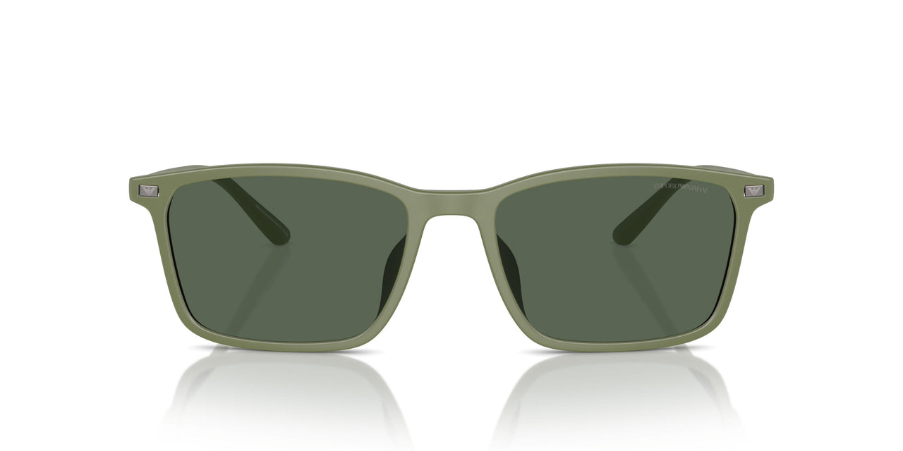 542471 - Green - Dark Green