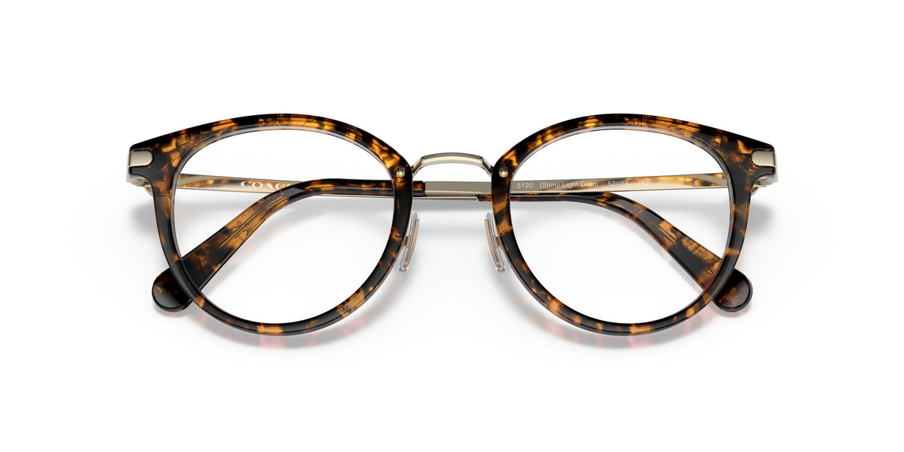 5120 - Tortoise