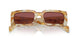 19N08S - Brown - Dark Violet