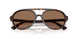 500273 - Tortoise - Dark Brown