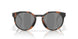 924218 - Tortoise - Prizm Black