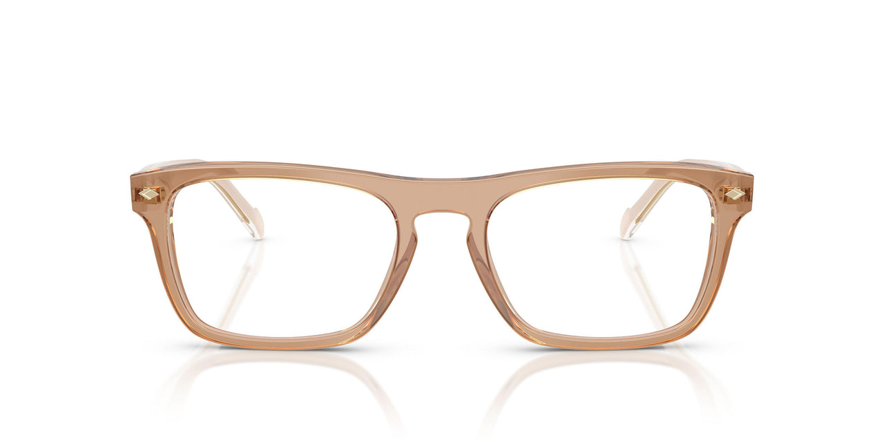3189 - Brown