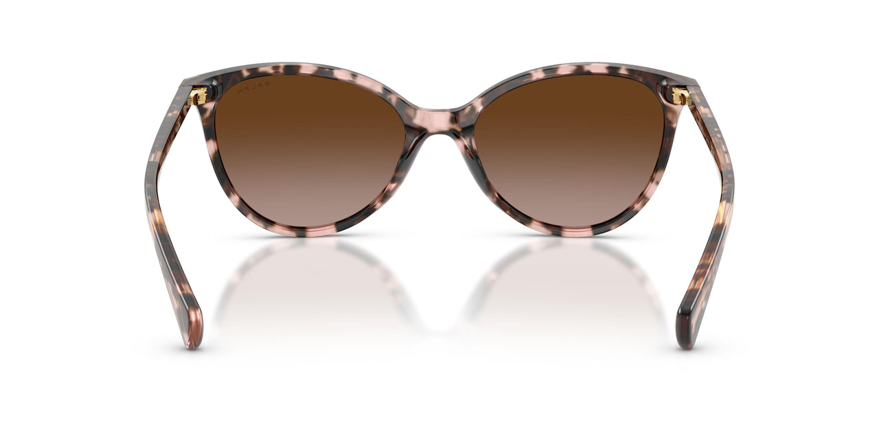 605813 - Tortoise - Gradient Brown