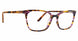 XOXO XOWINTERS Eyeglasses