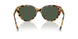 80649A - Tortoise - Polar Green