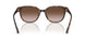 500213 - Tortoise - Gradient Brown