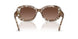 2026T5 - Brown - Polar Light Brown Gradient