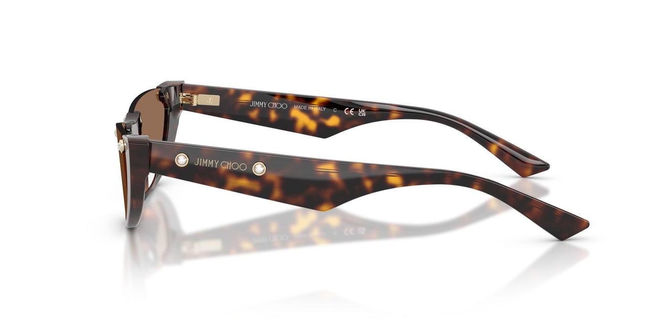 500273 - Tortoise - Dark Brown