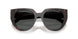 17N40L - Tortoise - Dark Grey