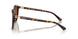 300673 - Tortoise - Brown Solid