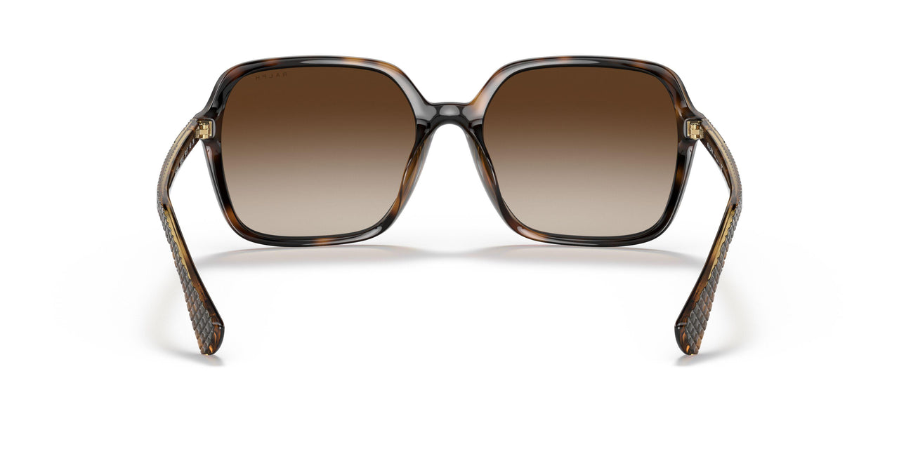 500313 - Havana - Gradient Brown